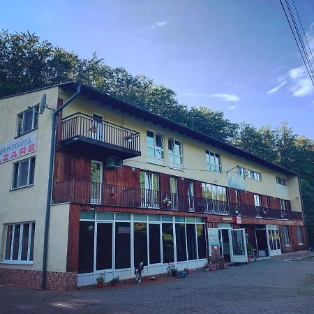 Pensiunea Pastravul Otel Cîrţişoara Dış mekan fotoğraf