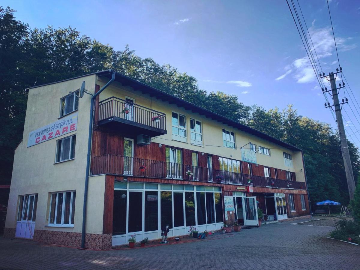Pensiunea Pastravul Otel Cîrţişoara Dış mekan fotoğraf