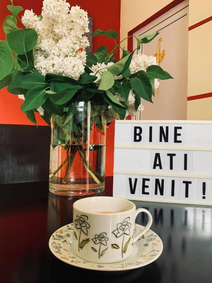 Pensiunea Pastravul Otel Cîrţişoara Dış mekan fotoğraf