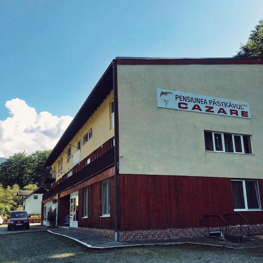 Pensiunea Pastravul Otel Cîrţişoara Dış mekan fotoğraf