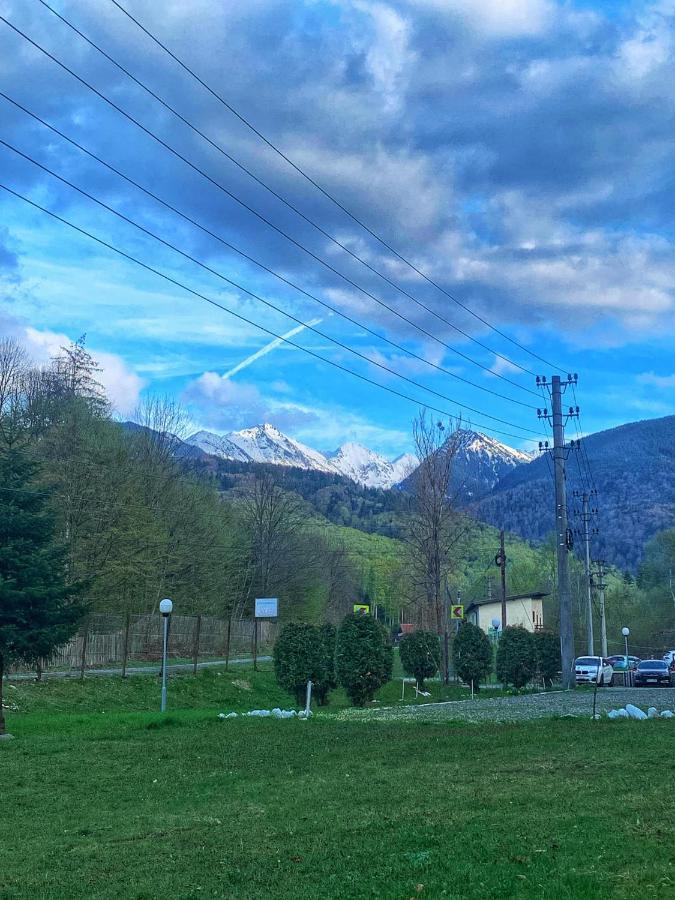 Pensiunea Pastravul Otel Cîrţişoara Dış mekan fotoğraf