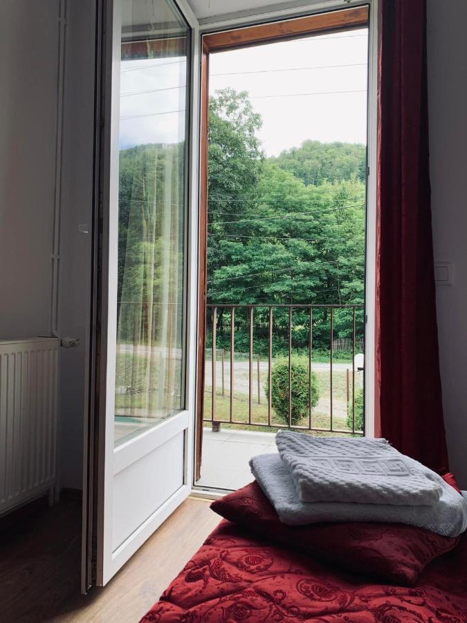 Pensiunea Pastravul Otel Cîrţişoara Dış mekan fotoğraf