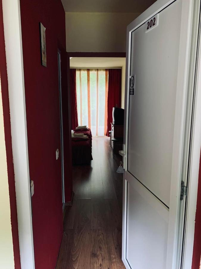 Pensiunea Pastravul Otel Cîrţişoara Dış mekan fotoğraf