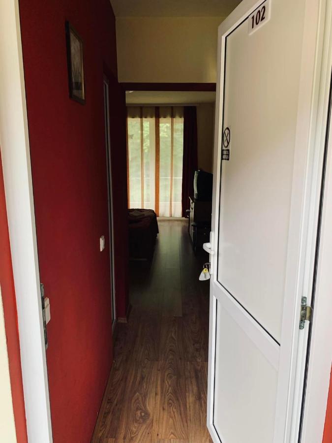 Pensiunea Pastravul Otel Cîrţişoara Dış mekan fotoğraf