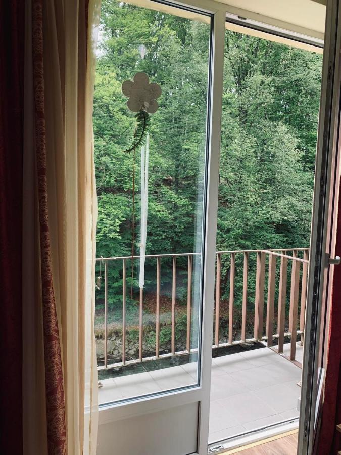 Pensiunea Pastravul Otel Cîrţişoara Dış mekan fotoğraf