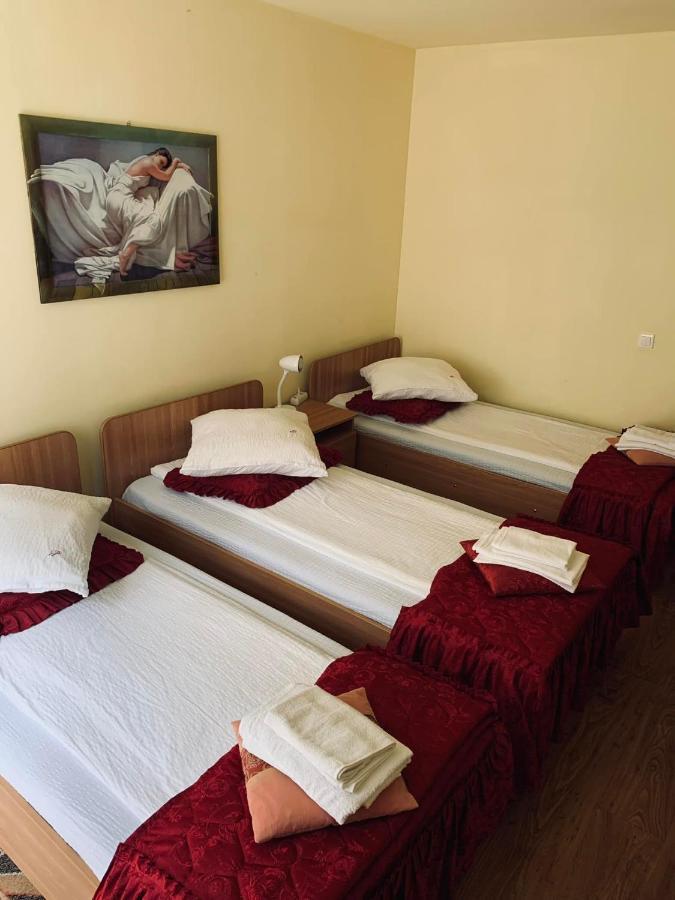 Pensiunea Pastravul Otel Cîrţişoara Dış mekan fotoğraf
