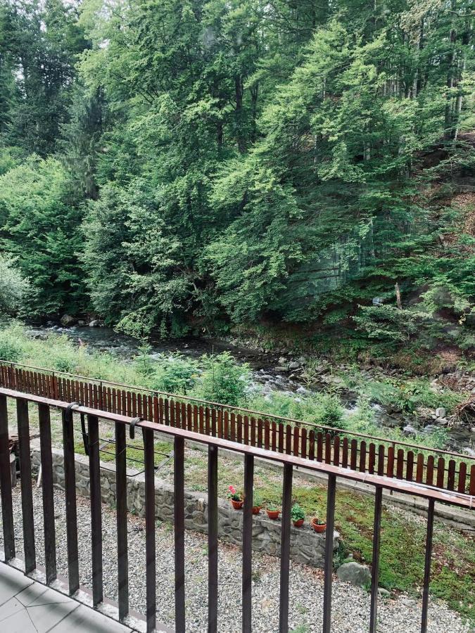 Pensiunea Pastravul Otel Cîrţişoara Dış mekan fotoğraf