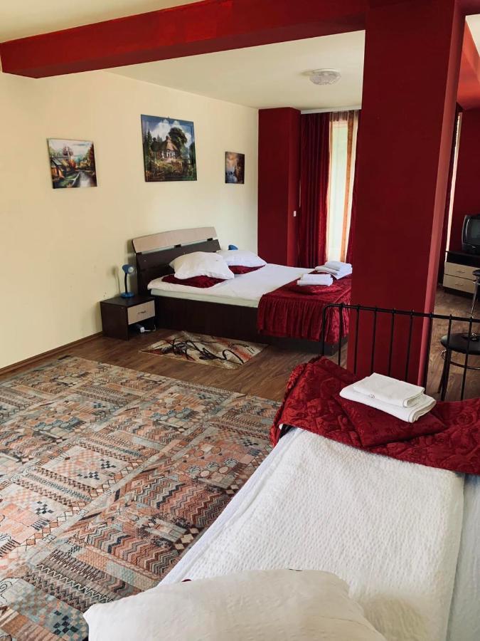 Pensiunea Pastravul Otel Cîrţişoara Dış mekan fotoğraf