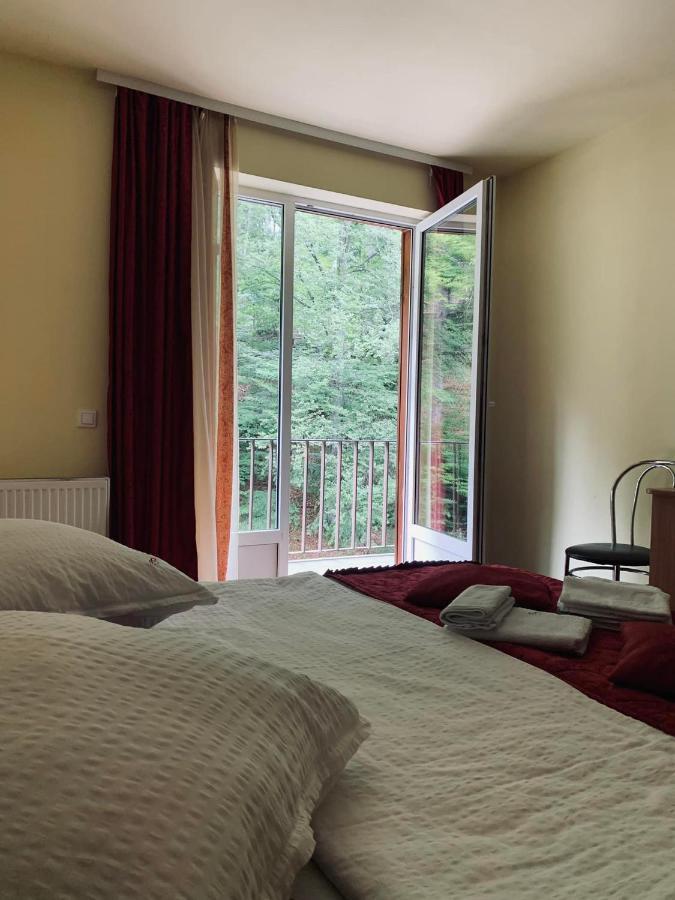 Pensiunea Pastravul Otel Cîrţişoara Dış mekan fotoğraf