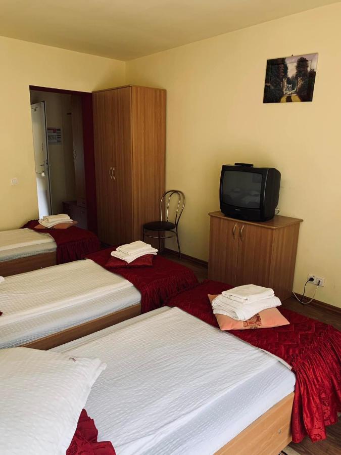 Pensiunea Pastravul Otel Cîrţişoara Dış mekan fotoğraf