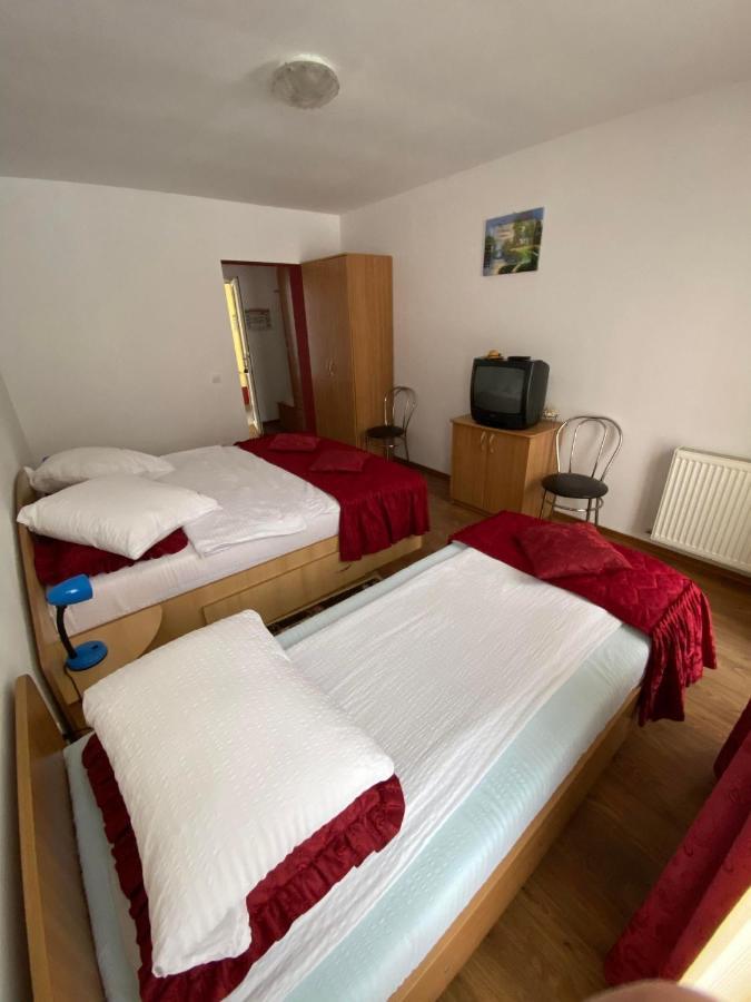 Pensiunea Pastravul Otel Cîrţişoara Dış mekan fotoğraf