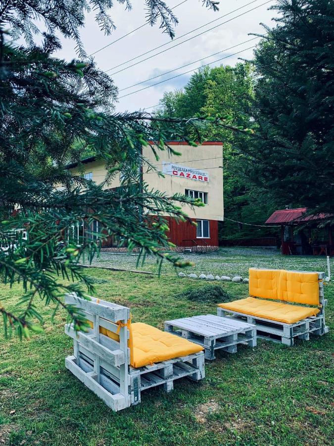 Pensiunea Pastravul Otel Cîrţişoara Dış mekan fotoğraf