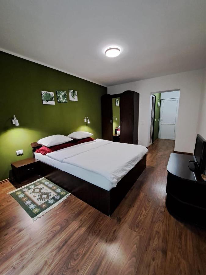 Pensiunea Pastravul Otel Cîrţişoara Dış mekan fotoğraf